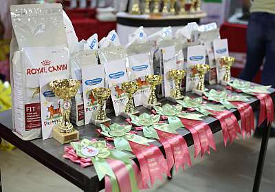 �������� ����� '���-�����-������' 22-23 ������ 2014 169A8834 copy.jpg